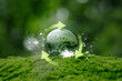 © Anon - Glass globe in green forest with circular economy concept. renewable energy, resource efficiency, waste reduction, ESG strategy, SDGs, and sustainable environment green business innovation