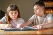 © Cavan Images - Brother helping sister study with textbook at home