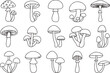 © Bulbul - シンプルな線画スタイルの様々な形やサイズの手書きのキノコのコレクション