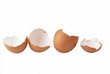© Atreyee - Four Broken Brown Eggshells Arranged in a Horizontal Line