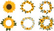 © sumona - Set of Sunflower Vector Icons Summer Flower Illustration Collection Sunflower Floral Design Elements Sun Sunlight Nature Yellow Cartoon Style Spring and Sunny Weather Symbols