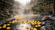 © tangmo.pa - Steaming Japanese outdoor onsen hot spring with floating yuzu citrus fruits