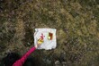 © Damian - A hand gently reaches for a colorful picnic spread on a blanket nestled among blooming wildflowers, offering a moment of tranquility and connection to nature in a lush outdoor setting