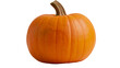 © Aino - Orange pumpkin with thick stem and ribbed texture