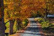 © SNEHIT PHOTO - New England autumn foliage lining a winding country road
