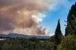 © Bruno - Pyrénées-Orientales, France, July 5, 2026: Smoke from the Trévillach wildfire rises behind Mediterranean hills and cypress trees near Perpignan during a major wildfire in southern France.