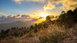 © iwan - Golden Sunset over Mountainous Valley with Wildflowers