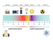 © Andrea Danti - Electromagnetic spectrum wavelenghts