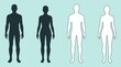 © Glenn ART - A minimalist vector graphic presenting a comparison row of four full-body human silhouettes, featuring a male and female pair in solid dark grey and another pair in white outline on a light blue backg