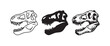 © BestFren - Set of three T-Rex dinosaur skull icons, featuring outline, solid silhouette, and detailed hand-drawn sketch styles.