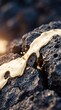 © AdPremium - Molten liquid gold flowing over dark textured volcanic rock surface with warm sunlight highlights