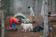 © qunica.com - A group of friends camping in a misty mountain forest with two dogs and a camouflage tent. They prepare camp and gear near their tent among pine trees on a foggy morning.