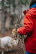 © qunica.com - A person in a red jacket holds a bundle of branches in a mountain forest. Friends in the mountain setting share a quiet outdoor moment.