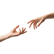 © Bikash - Two hands gently touching fingertips isolated on transparent background