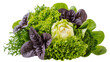 © Conor - Isolated assortment of fresh organic green and red lettuce leaves, vibrant healthy salad ingredients.