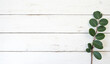© Ryan Rizky Pratama - Empty white wood planks texture background with a green botanical sprig and copy space