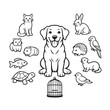 © Rehana - Cute pet animal collection, black and white line art vector set of 12 domestic animals, coloring page illustrations for veterinary and pet shop branding