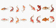 © Akun - Set of various colorful koi fish illustrations, traditional Japanese carp collection for design elements.