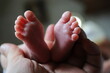 © polakravis - Newborn Baby Feet Held in Adult Hands