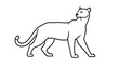 © nuyo - Black and white cheetah illustration on white background.
