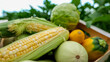 © shine.graphics - Freshly harvested corn and assorted vegetables in a wooden crate outdoors