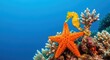 © intothestar - Vibrant orange starfish rests beside a delicate yellow seahorse clinging to coral in a clear blue tropical ocean underwater landscape, tropical, sand, underwater