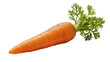 © Ioana - Isolated fresh orange carrot with vibrant green leaves and stems, healthy vegetable