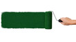 © Rhony - Hand using dark green paint roller brush isolated on transparent background
