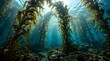 © Wnd - Underwater kelp forest with sun rays shining through the water surface