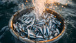 © MDRAFIQUL - Water pouring over large batch of fresh sardines in bucket outdoors.