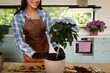 © Home-stock - Cheerful female gardener carefully repotting flowering hydrangea, enjoying home gardening and caring for ornamental houseplants