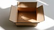 © Salsa - An empty, open cardboard box sits on a white surface, lit by soft sunlight