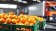 © Putra - Fresh orange fruit crates stacked in warehouse with delivery truck background