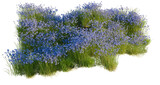 Iris Flower tree shrub, plant bush, cutout, isolate transparent background, Lush Blue Flowers and Green Grass Patch - Perfect for Landscape Design Elements