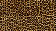© Ansar - Leopard prints background