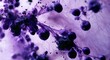 © andyaziz6 - Microscopic view of purple mold spores and fibers