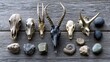 © Oleh - Diverse collection of animal skulls, deer antlers, an ancient triceratops fossil replica, an ammonite fossil, and various natural stones arranged on a textured wooden background