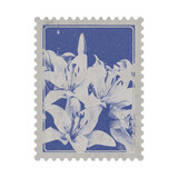 Aesthetic Old Floral Stamp Postcard Sticker. Vintage cyanotype riso print with antique blue lily flower for scrapbooking, collage and journal design