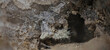© Digital Photo - Green aegirine needle crystals on white natrolite matrix ultrawide panoramic shot, documentary scientific microphotography in panoramic format image, natural raw mineral texture from Khibiny massif
