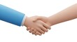 © touhid - Close-up of professional business handshake between two people with handshake