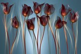 Dark red tulips with glowing centers and flowing translucent light on blue background