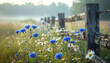 © SolaruS - Vibrant blue cornflowers and white daisies bloom by a rustic wooden fence in a misty country meadow at dawn, evoking a serene and nostalgic feeling of morning peace. Nobody is present.