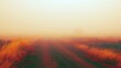 © wilson - Misty morning landscape with long dirt path through tall golden grass leading into dense fog with distant tree silhouette shows peaceful atmospheric rural scenery