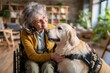 © Iftikhar alam - Golden Retriever in a service vest visits a woman in a wheelchair at a warm and cozy therapy setting during the daytime