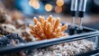 © Generative AI - Close-up macro view of delicate orange coral specimen in a curated aquarium or research tank