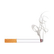 © Pixiphix - Realistic Smoking Cigarette Isolated on White Background Vector Illustration