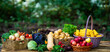 © Volodymyr - Harvest gathers colorful fresh produce. Harvest supplies nutritious vegetables daily. Harvest fills baskets with abundance. Harvest promotes healthy lifestyles.