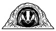© Ayenart - Badger in a tunnel den.