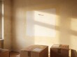 © Zain - Sunlit wall with faded rectangle where a picture was removed and moving boxes