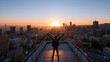 © BlackBridge Media - Young Adult Celebrating Success on Urban Rooftop at Sunrise